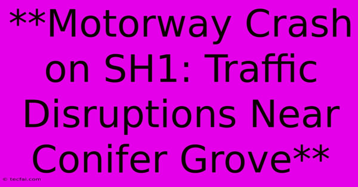 **Motorway Crash On SH1: Traffic Disruptions Near Conifer Grove**