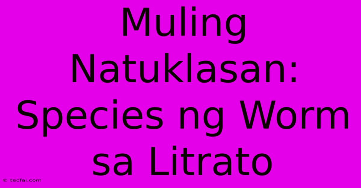 Muling Natuklasan:  Species Ng Worm Sa Litrato