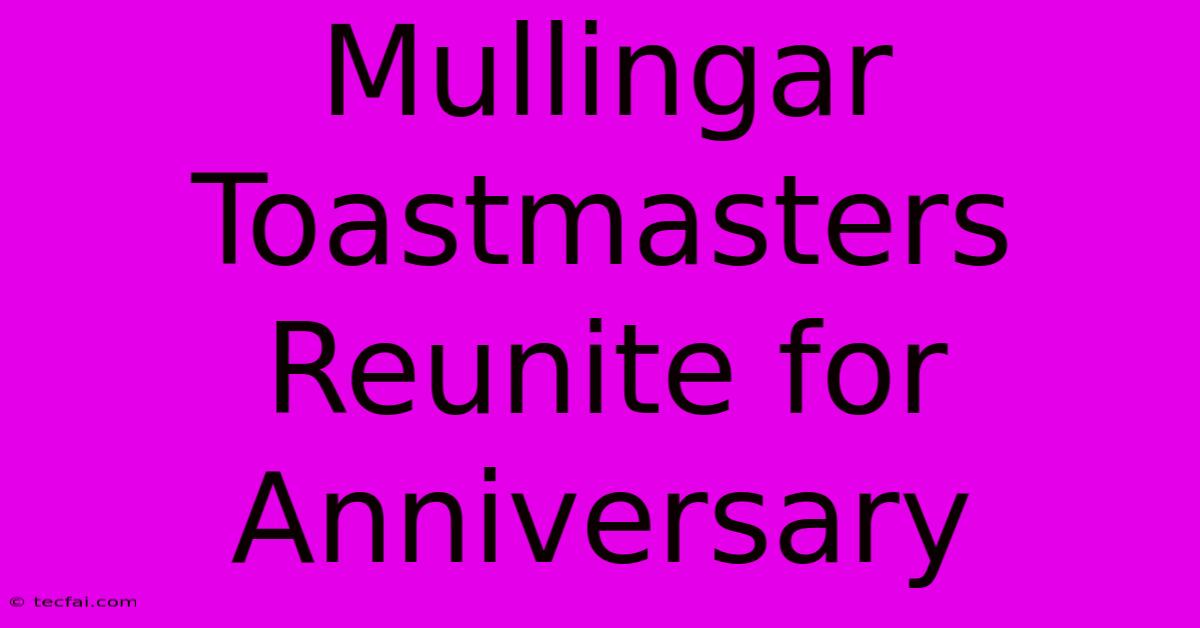 Mullingar Toastmasters Reunite For Anniversary