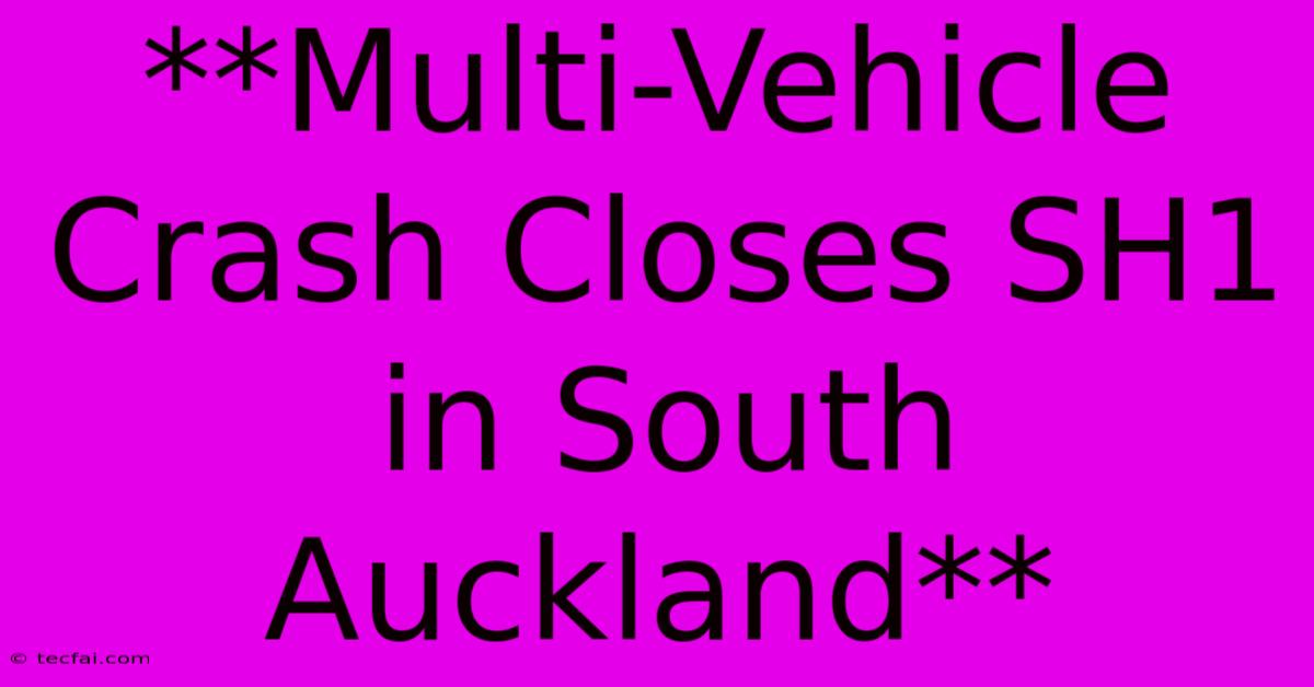 **Multi-Vehicle Crash Closes SH1 In South Auckland**