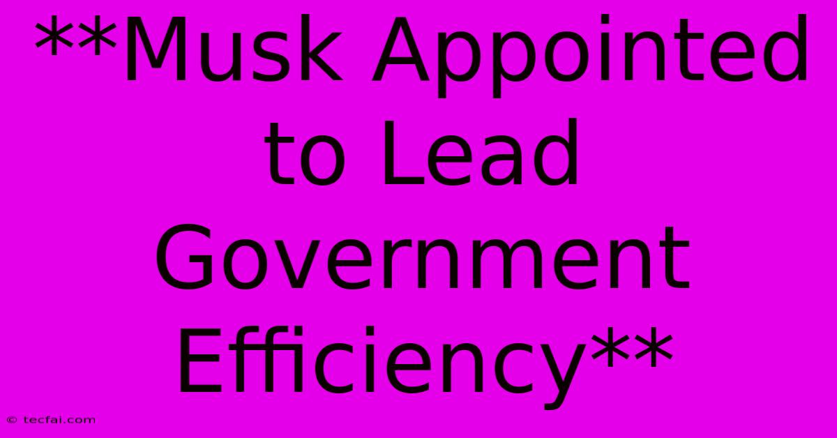 **Musk Appointed To Lead Government Efficiency**