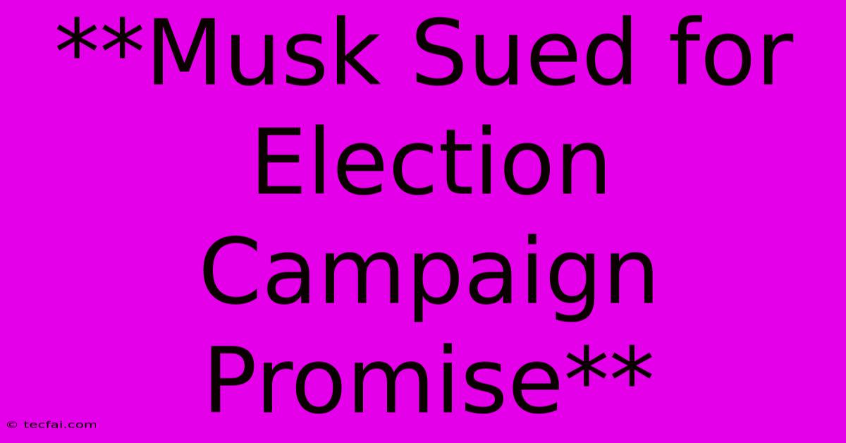 **Musk Sued For Election Campaign Promise**