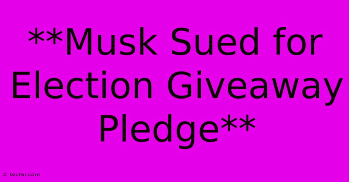 **Musk Sued For Election Giveaway Pledge**