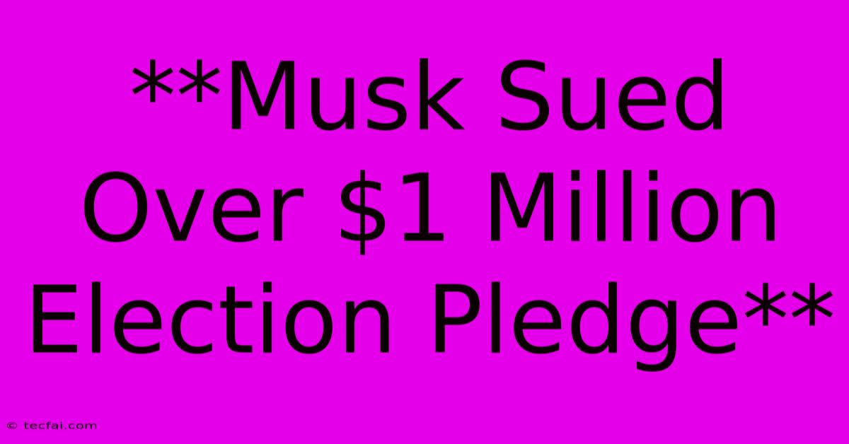 **Musk Sued Over $1 Million Election Pledge** 