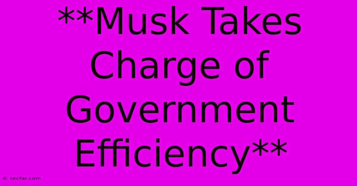 **Musk Takes Charge Of Government Efficiency**