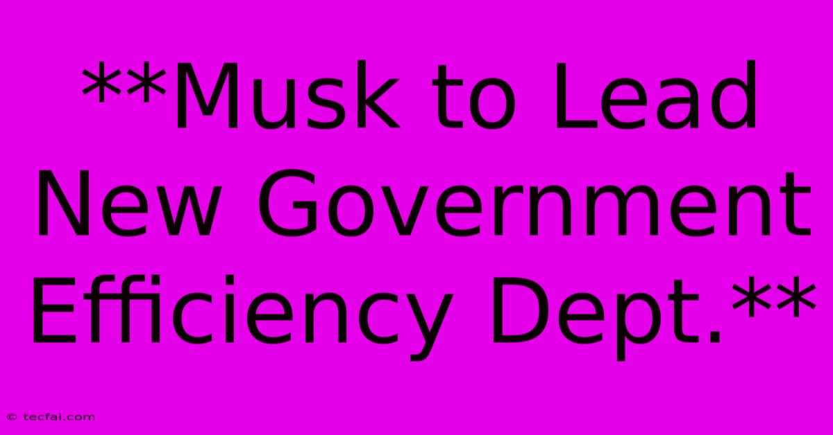 **Musk To Lead New Government Efficiency Dept.**