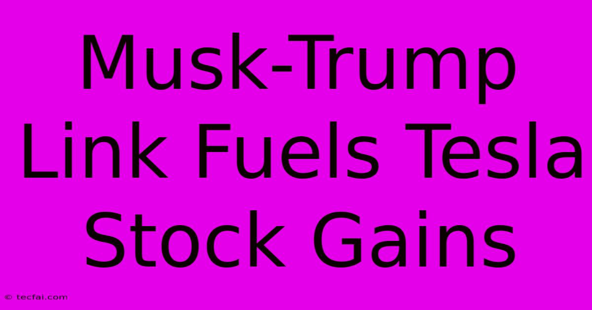 Musk-Trump Link Fuels Tesla Stock Gains