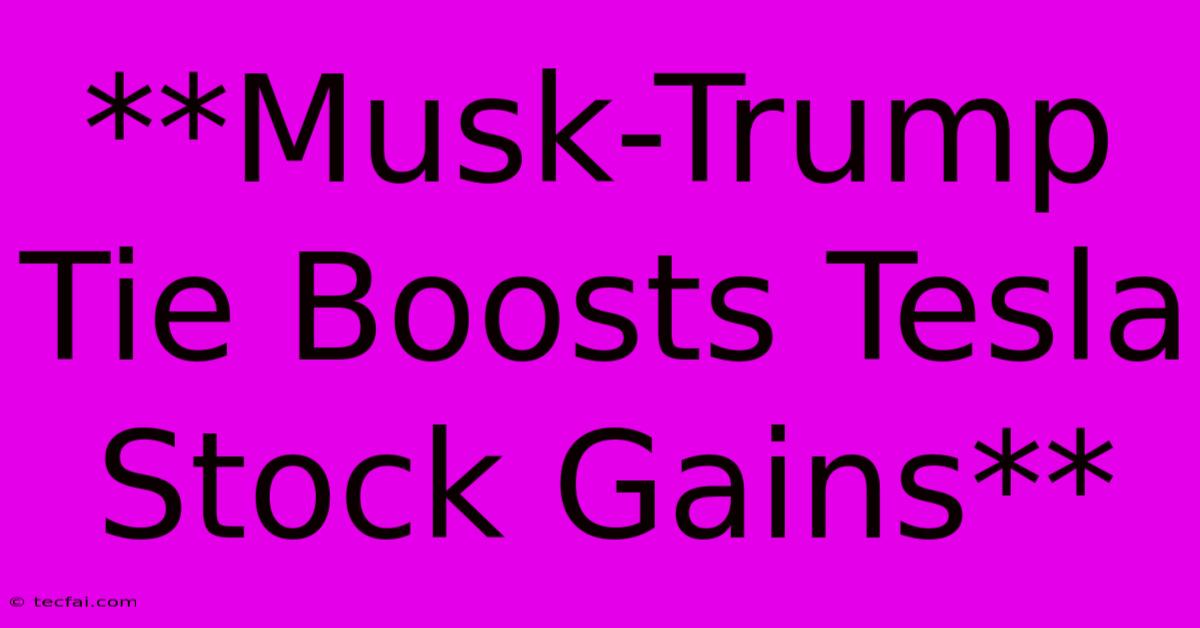 **Musk-Trump Tie Boosts Tesla Stock Gains**