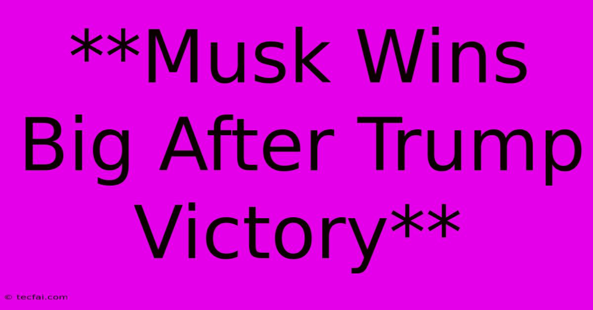 **Musk Wins Big After Trump Victory** 