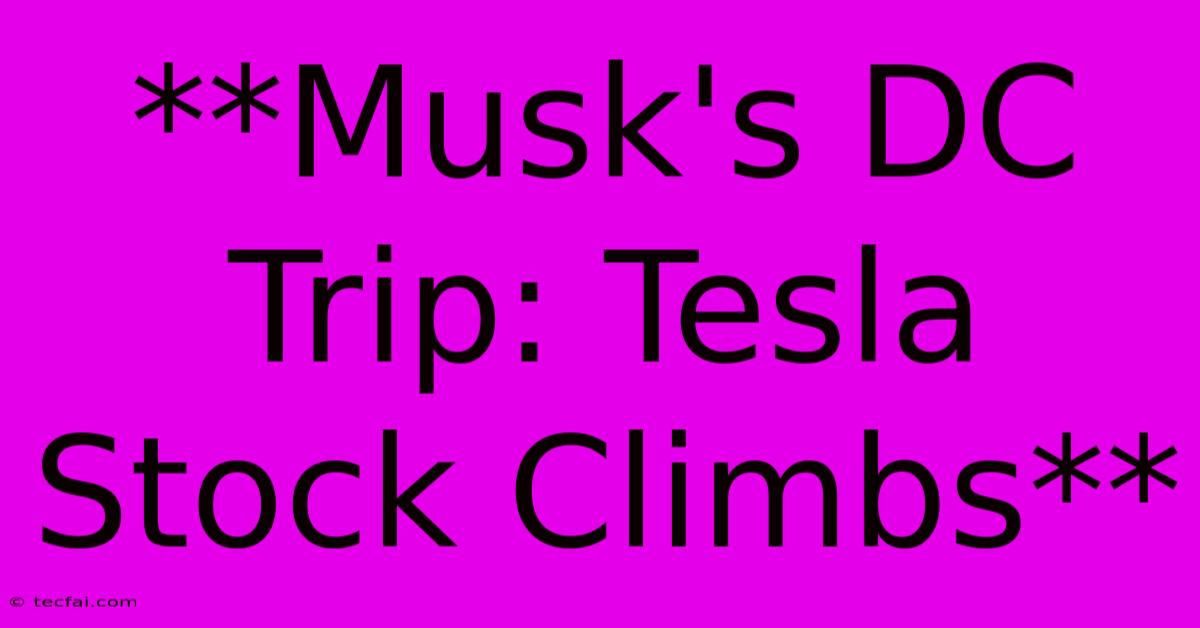 **Musk's DC Trip: Tesla Stock Climbs** 