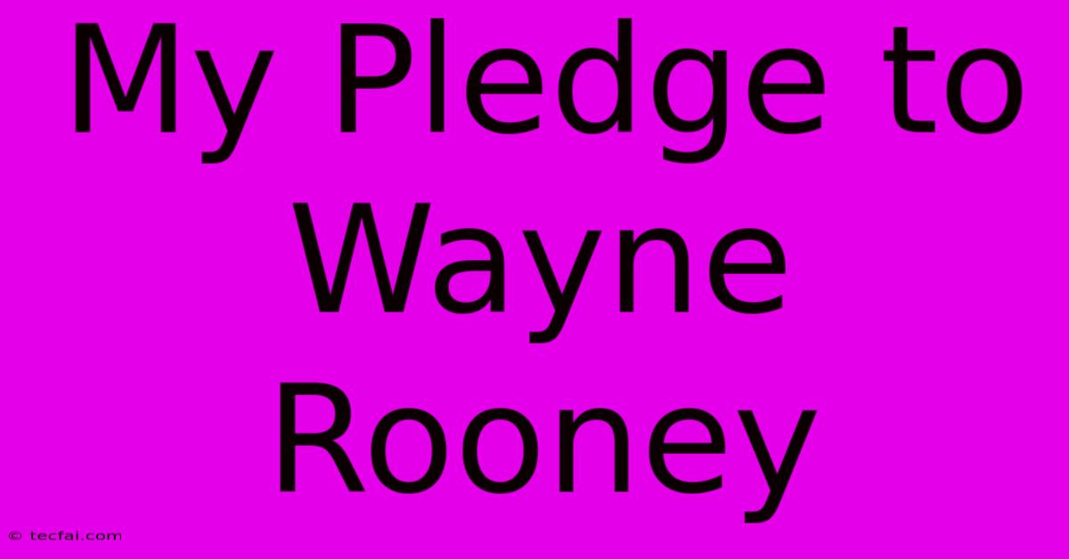 My Pledge To Wayne Rooney