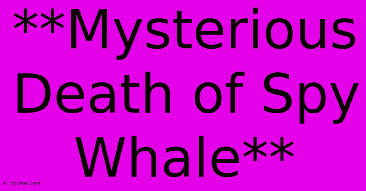 **Mysterious Death Of Spy Whale**