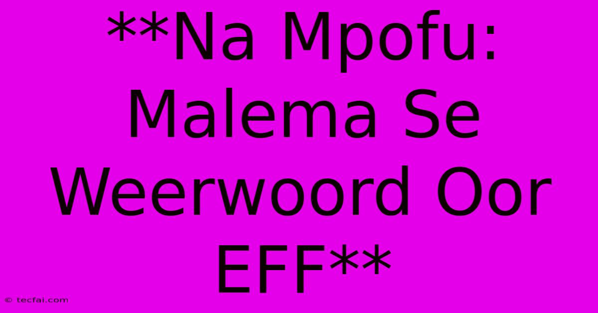 **Na Mpofu: Malema Se Weerwoord Oor EFF**