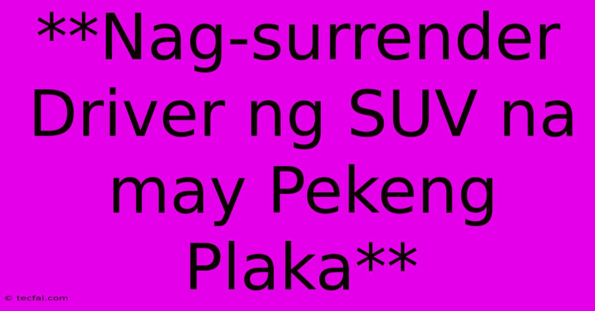 **Nag-surrender Driver Ng SUV Na May Pekeng Plaka**