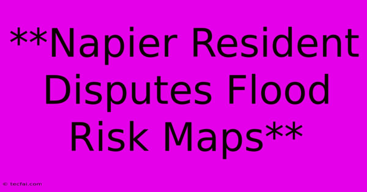 **Napier Resident Disputes Flood Risk Maps**