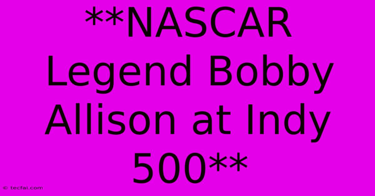 **NASCAR Legend Bobby Allison At Indy 500**