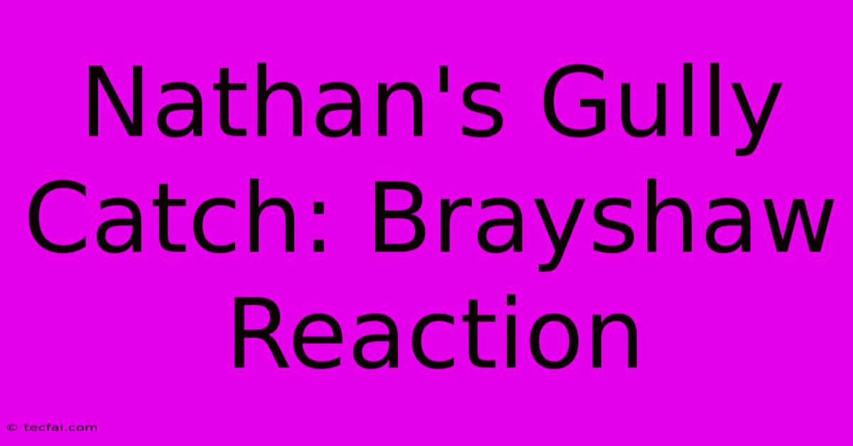 Nathan's Gully Catch: Brayshaw Reaction