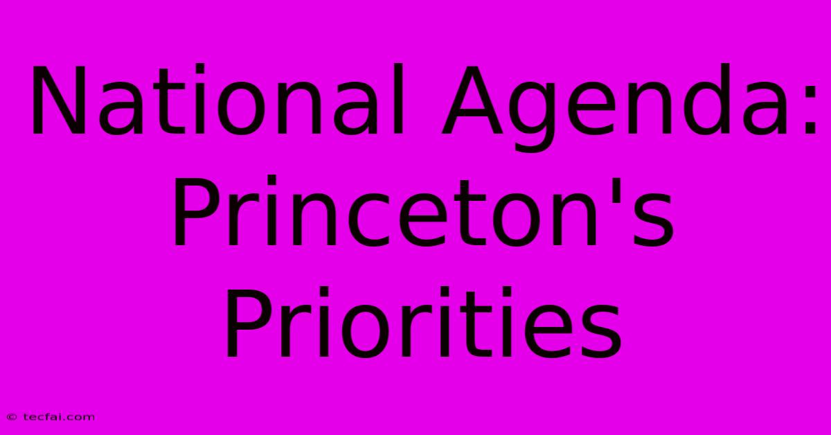 National Agenda:  Princeton's Priorities 