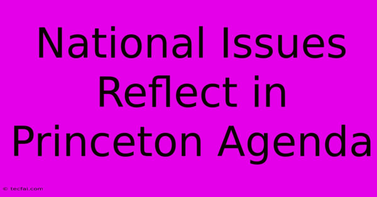 National Issues Reflect In Princeton Agenda