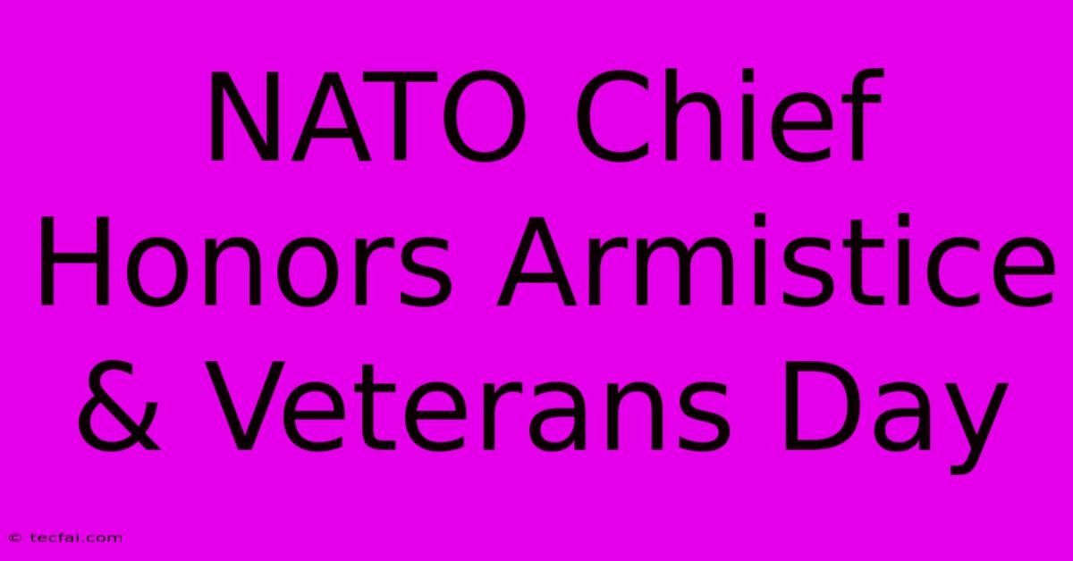 NATO Chief Honors Armistice & Veterans Day