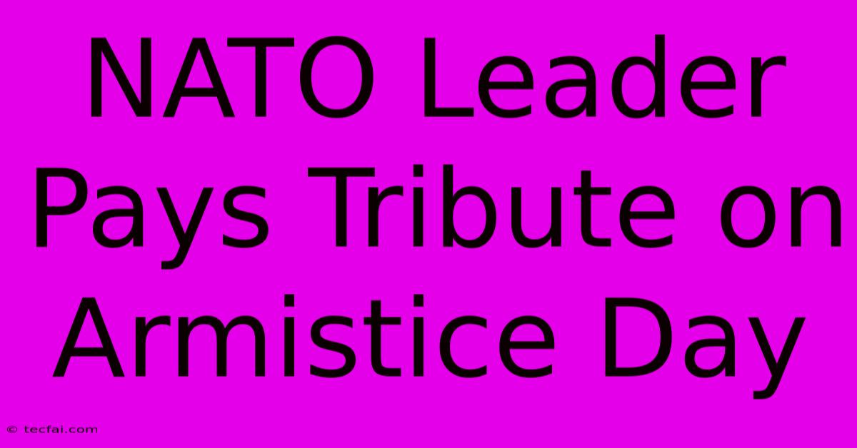 NATO Leader Pays Tribute On Armistice Day