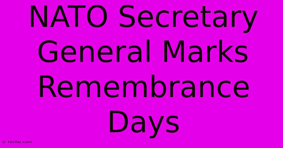 NATO Secretary General Marks Remembrance Days