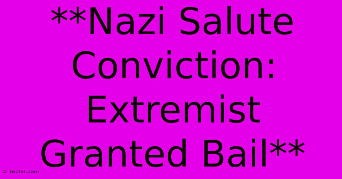 **Nazi Salute Conviction: Extremist Granted Bail**