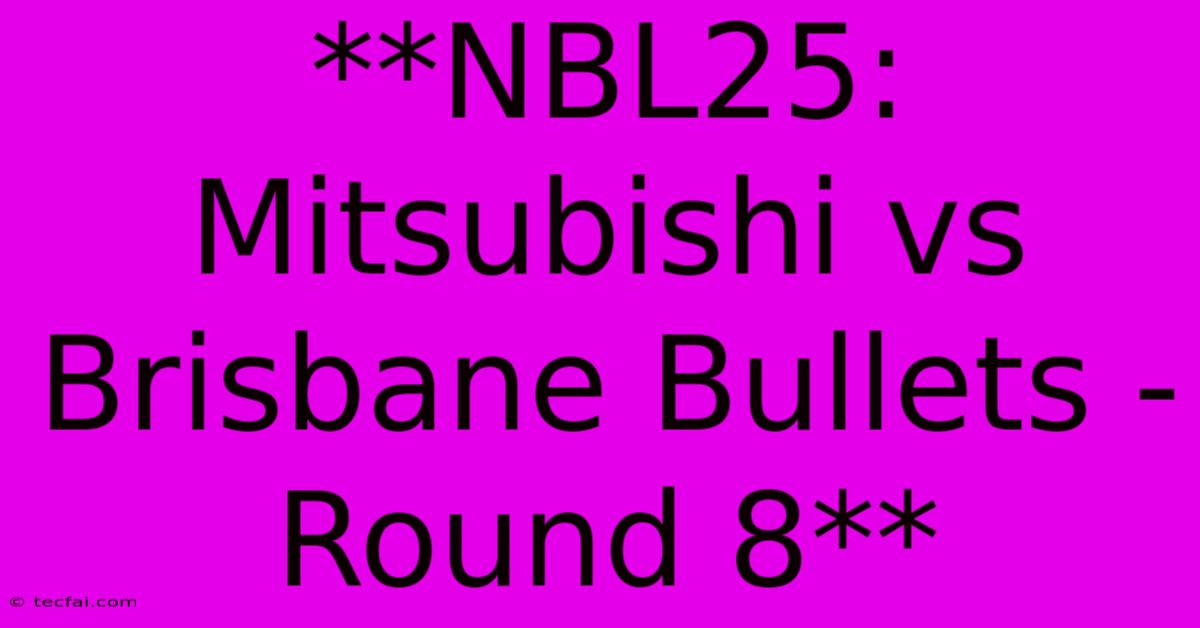 **NBL25: Mitsubishi Vs Brisbane Bullets - Round 8**