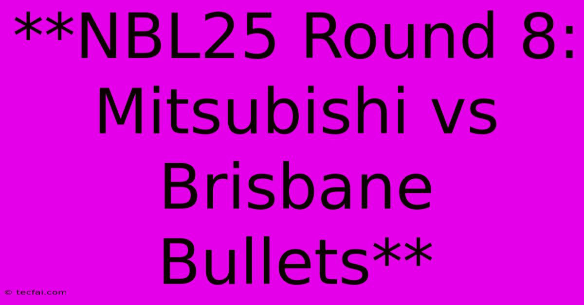 **NBL25 Round 8: Mitsubishi Vs Brisbane Bullets**