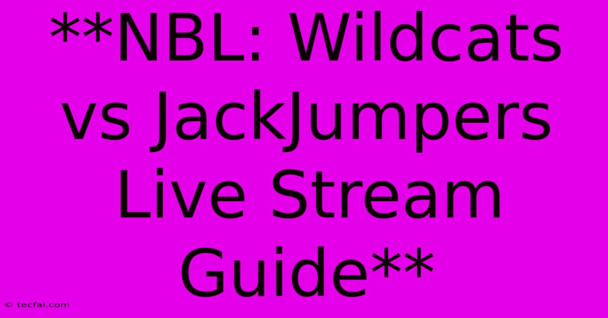 **NBL: Wildcats Vs JackJumpers Live Stream Guide**