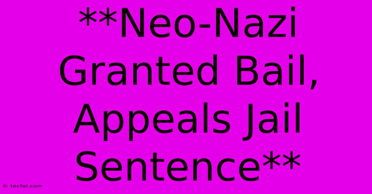 **Neo-Nazi Granted Bail, Appeals Jail Sentence** 