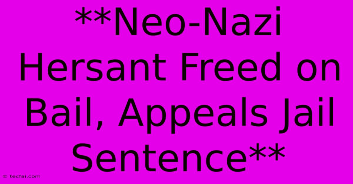 **Neo-Nazi Hersant Freed On Bail, Appeals Jail Sentence**