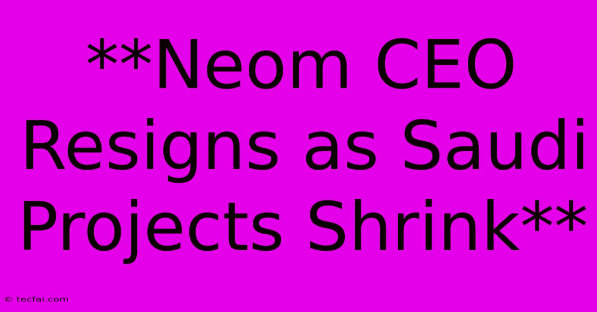 **Neom CEO Resigns As Saudi Projects Shrink**