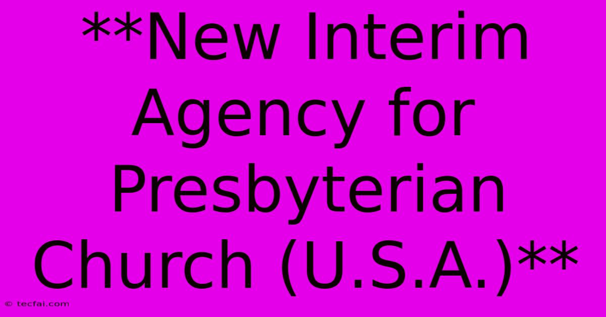 **New Interim Agency For Presbyterian Church (U.S.A.)**