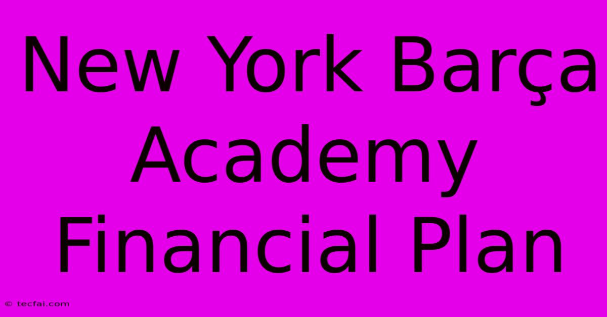 New York Barça Academy Financial Plan