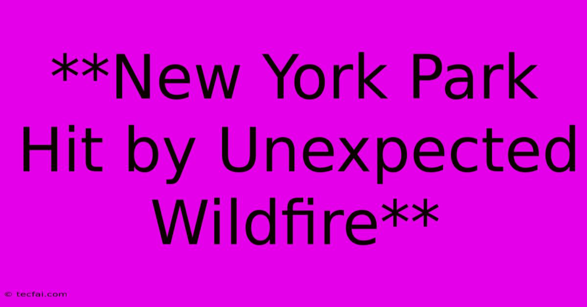 **New York Park Hit By Unexpected Wildfire** 