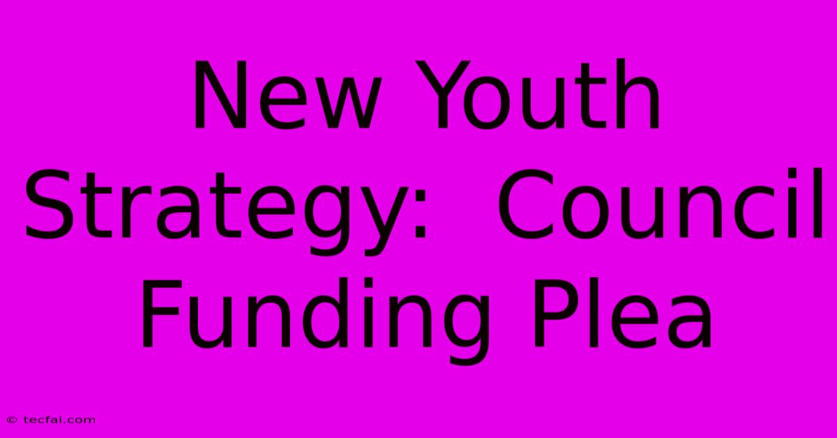 New Youth Strategy:  Council Funding Plea