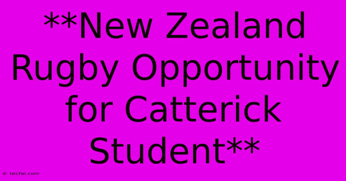 **New Zealand Rugby Opportunity For Catterick Student**