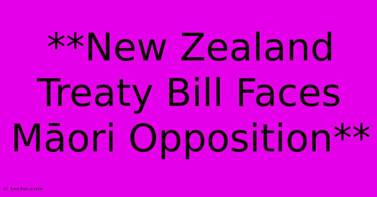 **New Zealand Treaty Bill Faces Māori Opposition** 