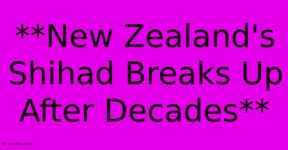 **New Zealand's Shihad Breaks Up After Decades**