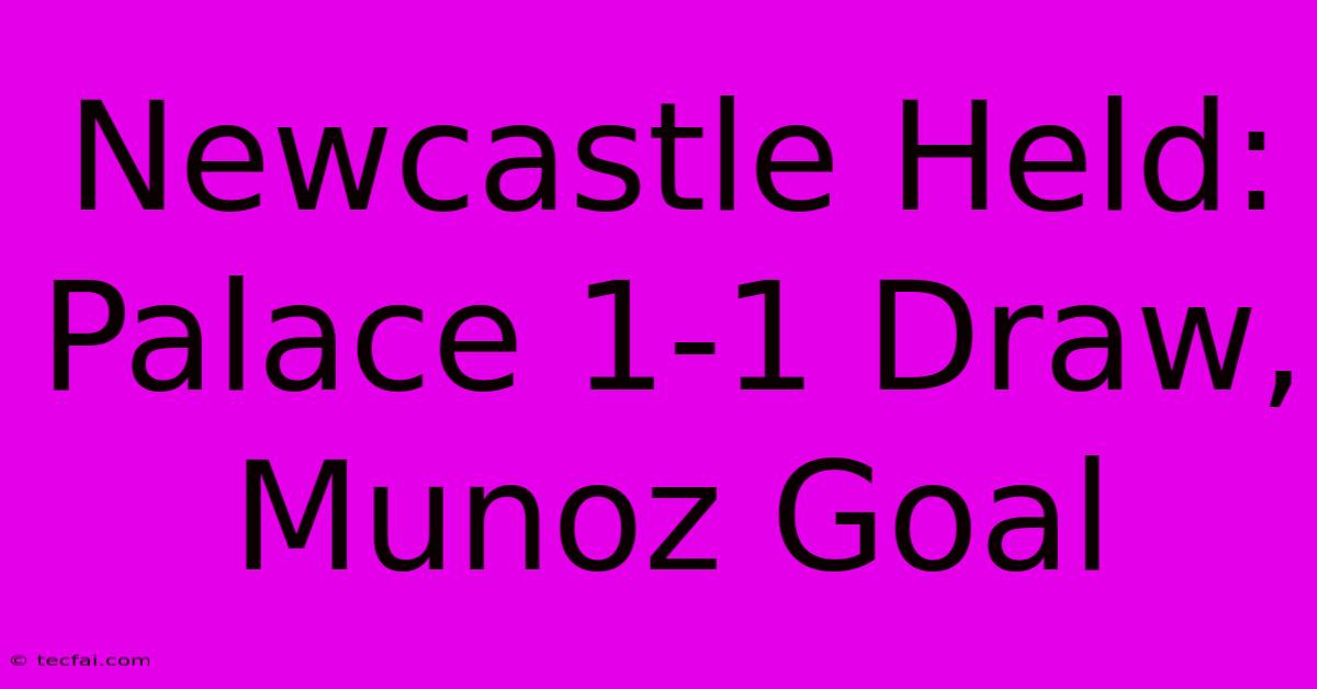 Newcastle Held: Palace 1-1 Draw, Munoz Goal