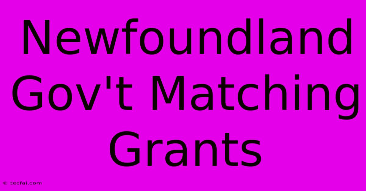 Newfoundland Gov't Matching Grants