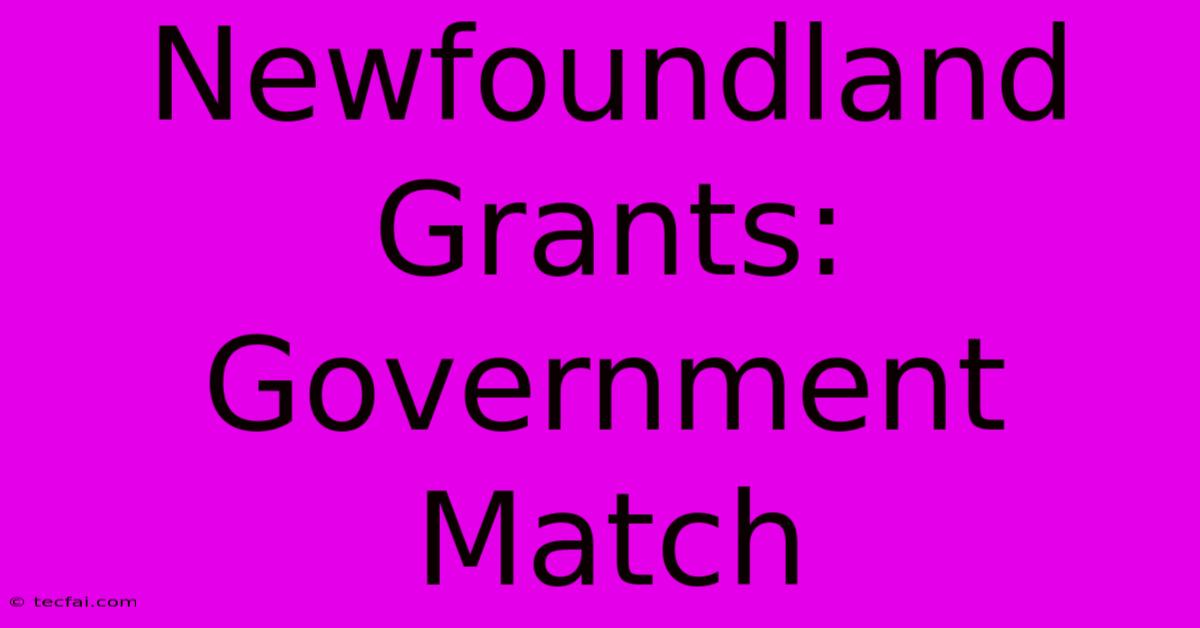 Newfoundland Grants: Government Match