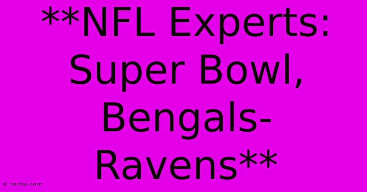 **NFL Experts: Super Bowl, Bengals-Ravens** 