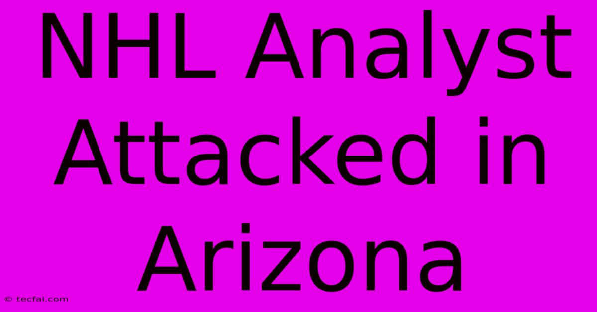 NHL Analyst Attacked In Arizona