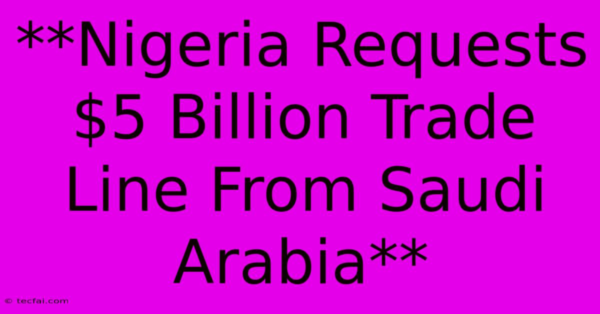 **Nigeria Requests $5 Billion Trade Line From Saudi Arabia**