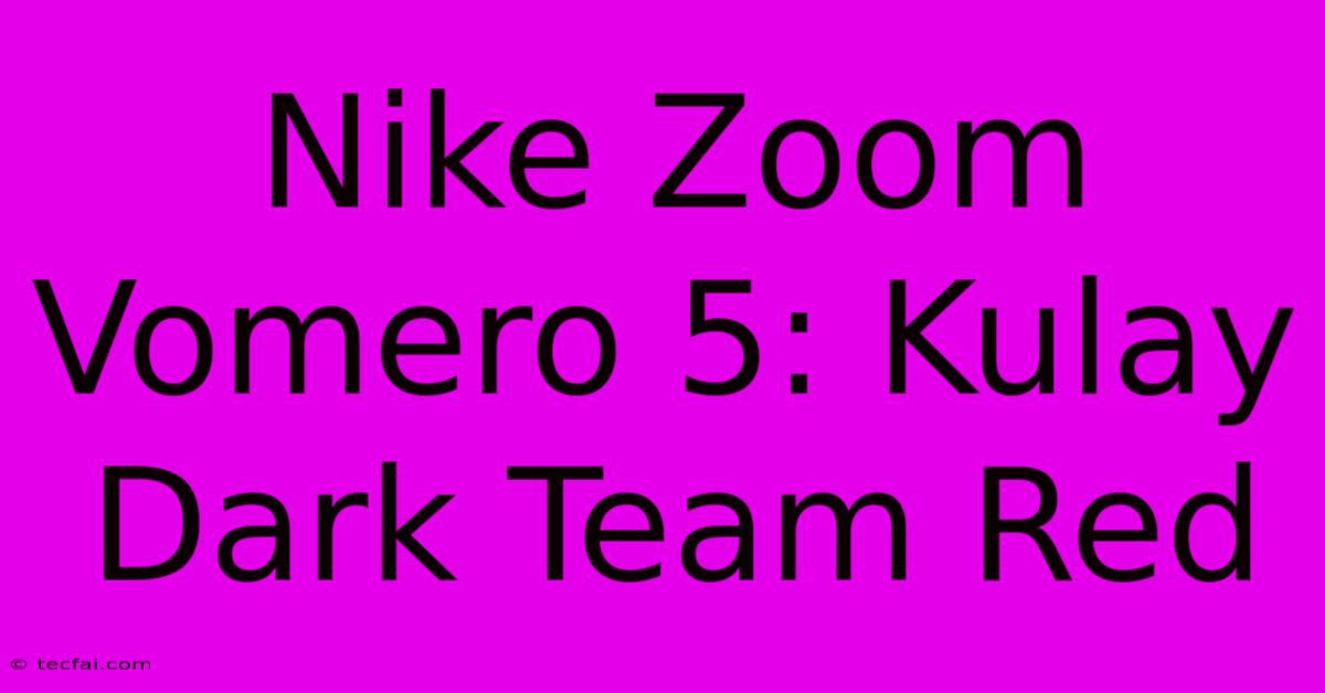 Nike Zoom Vomero 5: Kulay Dark Team Red