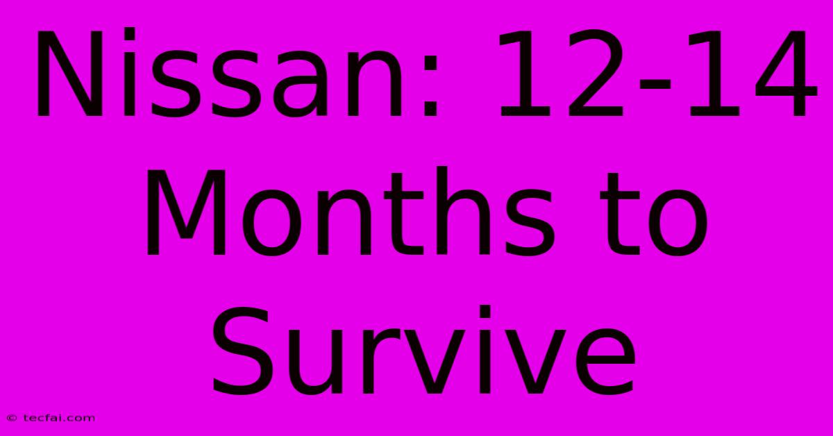 Nissan: 12-14 Months To Survive