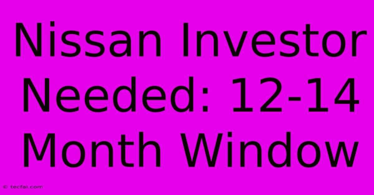 Nissan Investor Needed: 12-14 Month Window