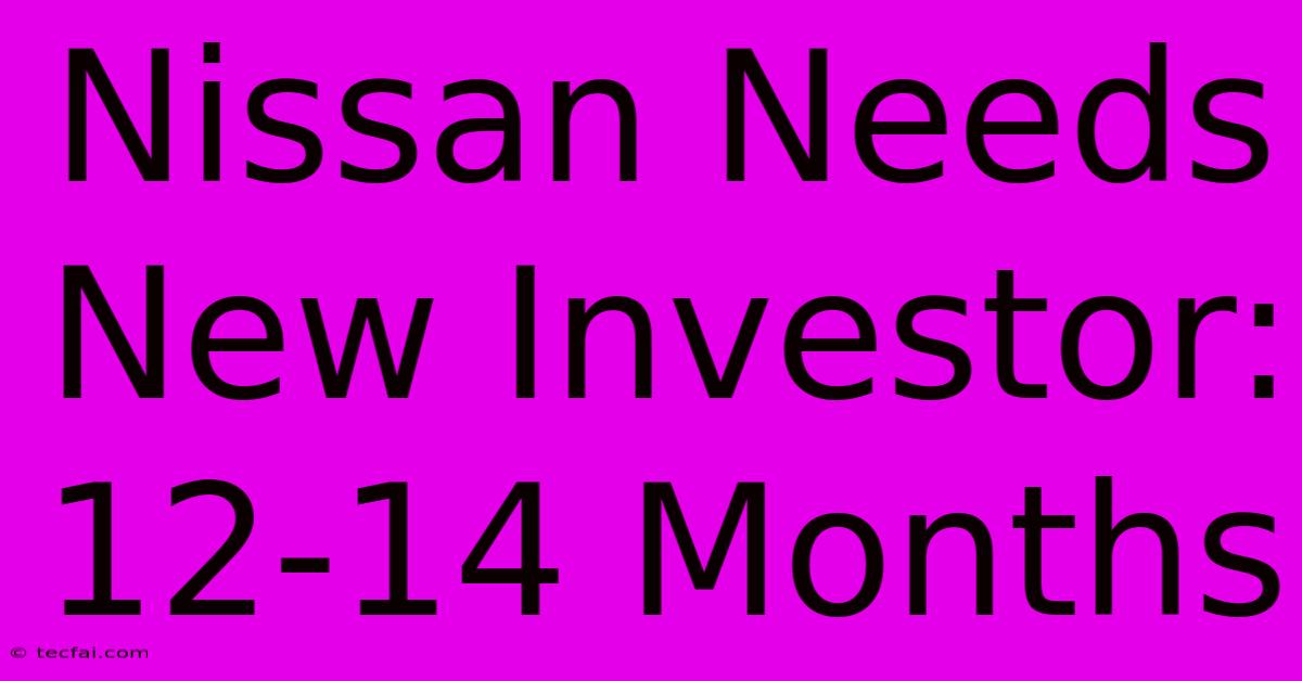 Nissan Needs New Investor: 12-14 Months